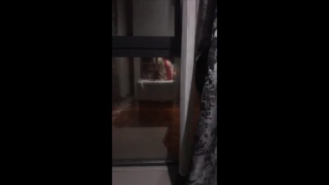 Orumcek Kırmızı Tanga Yuzustu Twerk İfşa